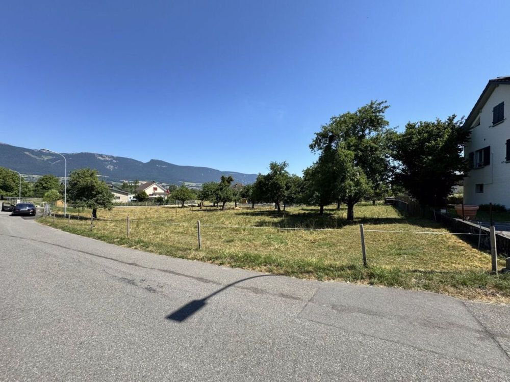 Neubau, Villa mit Pool und grossem Garten - Bild 2