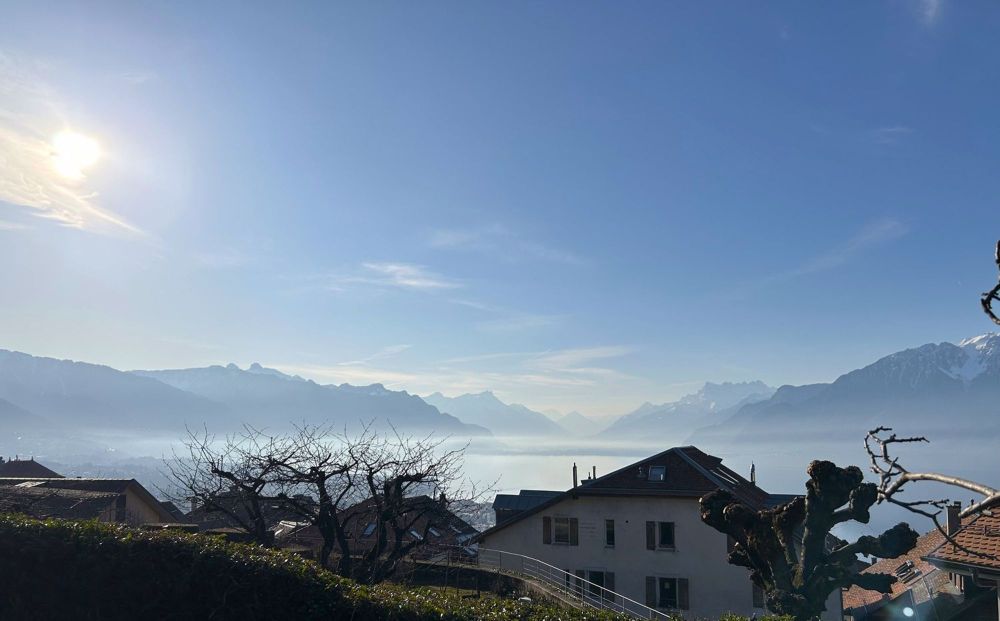 CHARDONNE - GROSSES 5.5 ZIMMER MIT GARTEN UND SCHÖNER SEESICHT - Bild 4