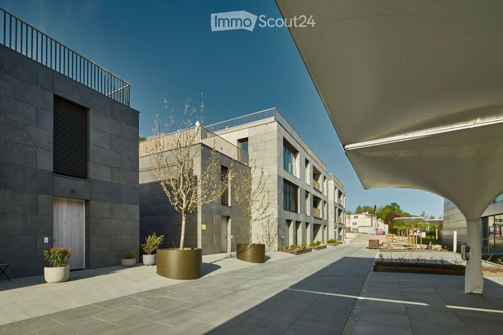 3,5 Terrassenwohnung in Tägerwilen - Bild 5