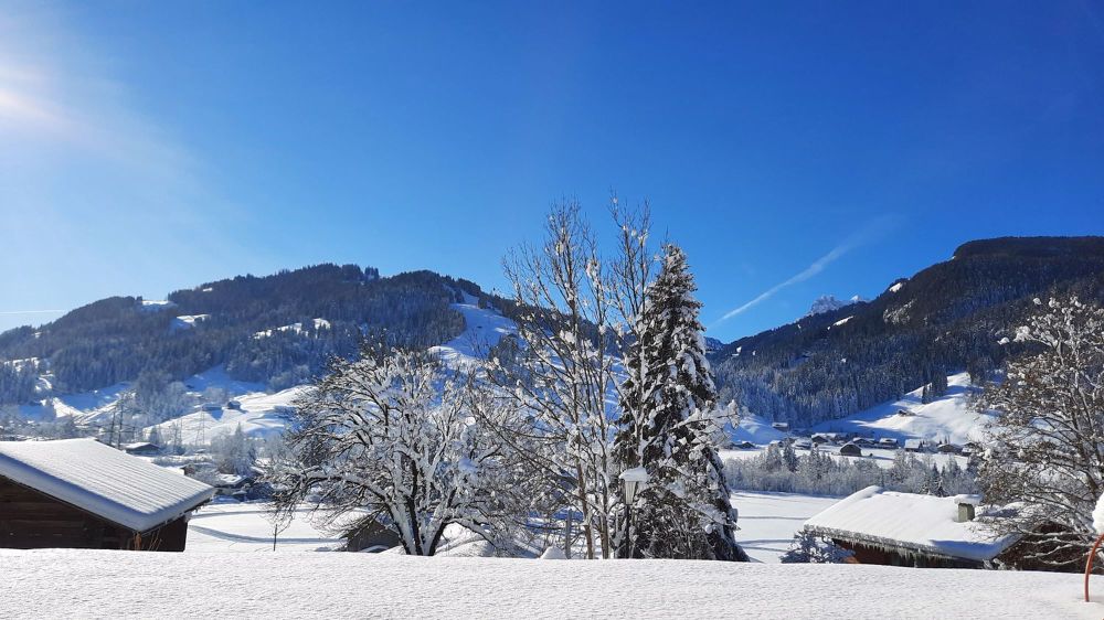 Hochwertige Erdgeschosswohnung mit bester Aussicht - Bild 1