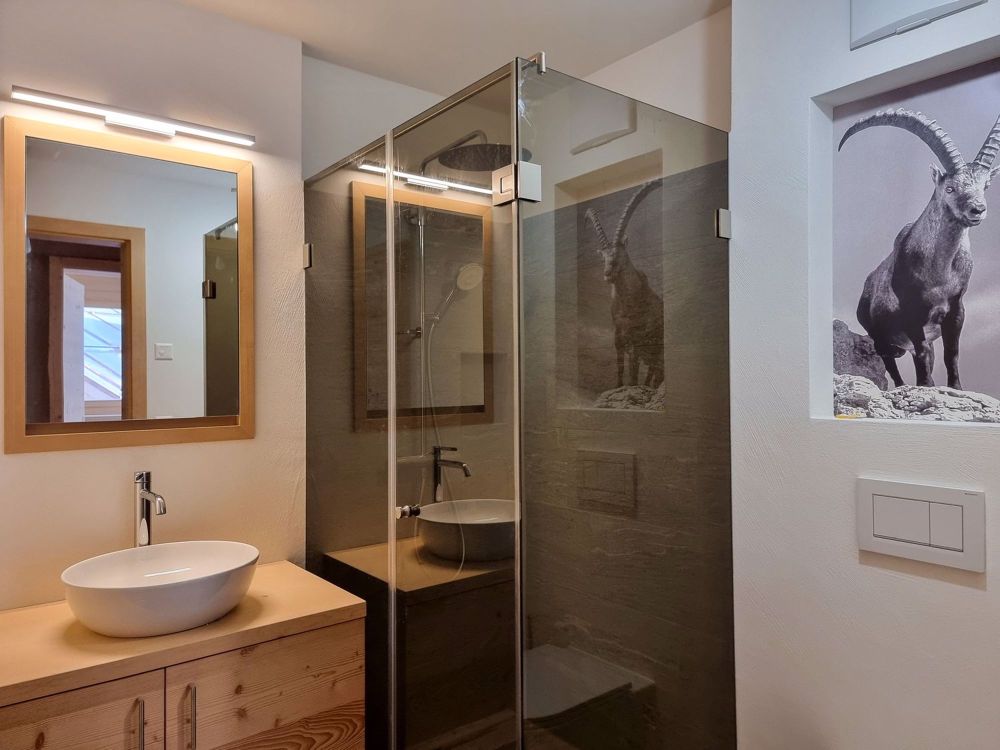 4.5 Zimmer-Terrassenwohnung im Dorfzentrum St. Antönien, Region Prättigau-Davos (Zweitwohnung) - Bild 10