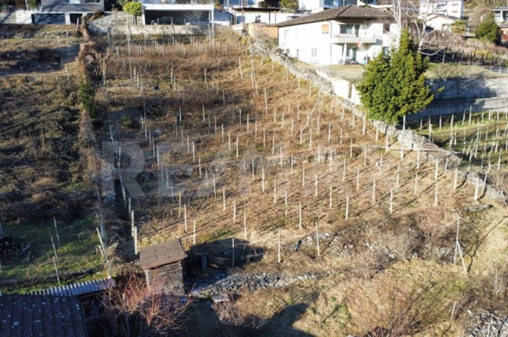 2.5 Room apartment - Bild 8