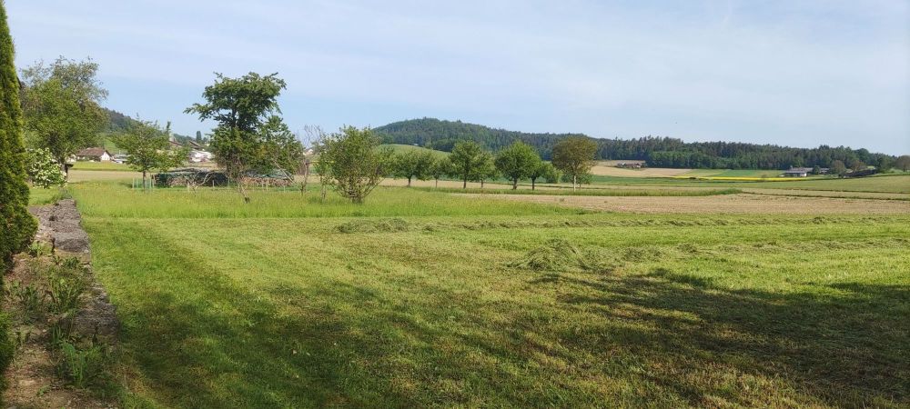 5.5-Zimmer Doppel-Einfamilienhaus am Rande der Bauzone von Windlach - Bild 3