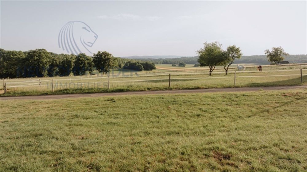 Besonderer Investor, Grundstück von 1440 m2 für Neubau - Bild 4