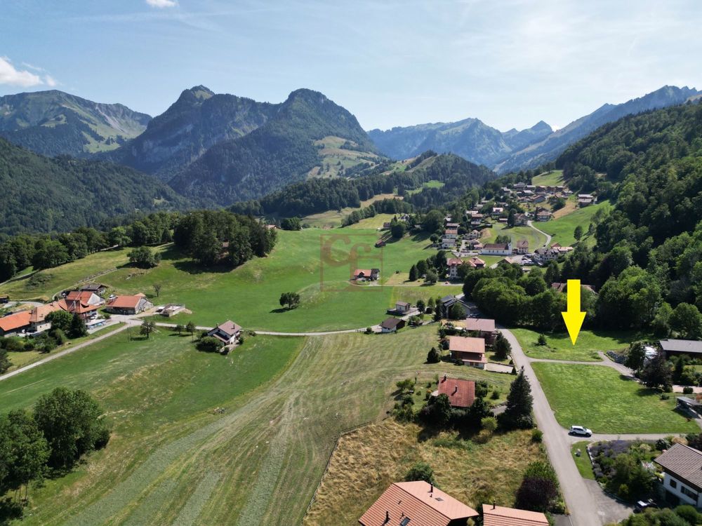 Les Sciernes-d'Albeuve - Chalets contemporains - Emplacement du projet