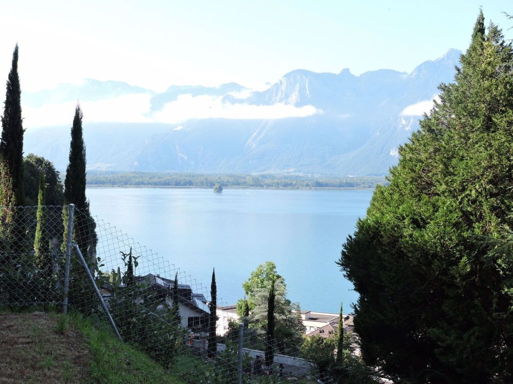 Bel et spacieux appartement de 4,5 pièces avec jardin et terrasse sur les hauts de Veytaux | dreamo.ch - Bild 1