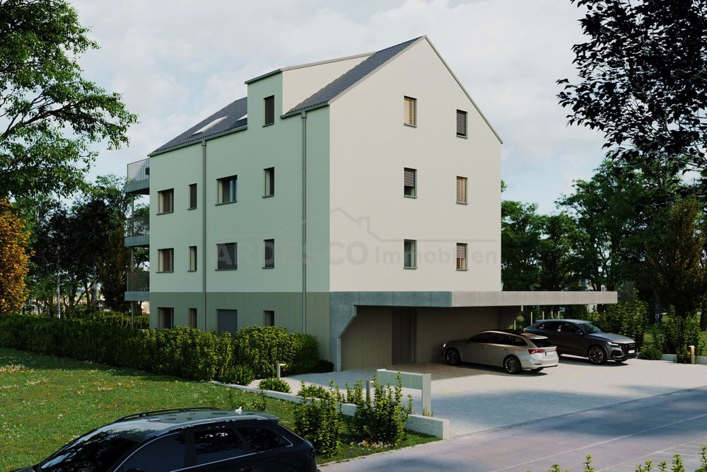 Über den Dächern von Oberentfelden - Aussenansicht Carport