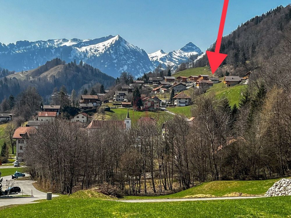 Das Chalet in Les Sciernes-d'Albeuve auf dem Plan - L'emplacement du projet