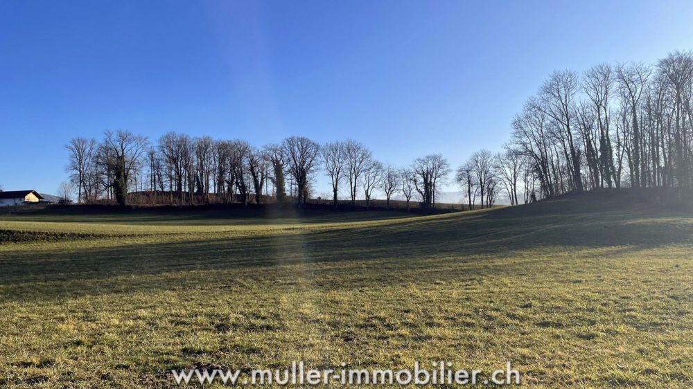 Superbe villa neuve à Bossonnens - Bild 3