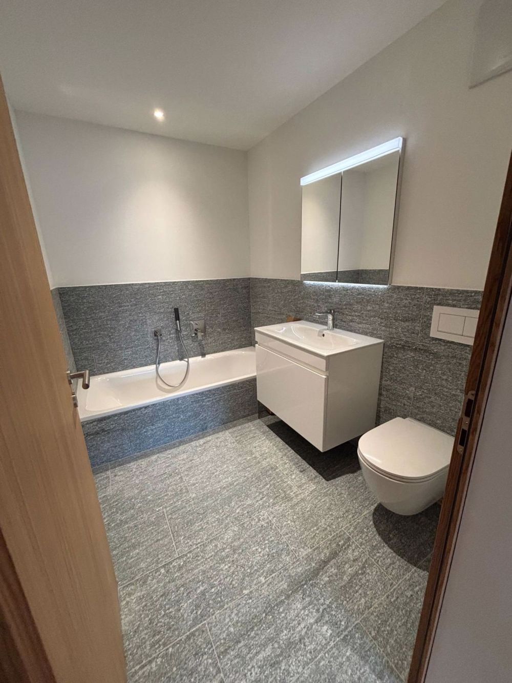 Neubau: 4.5-Zimmer-Erstwohnung - Bild 9
