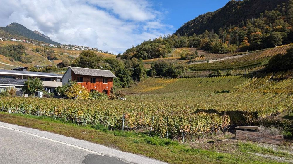 2,5 Zimmer mit Terrasse und privatem Garten – Südausrichtung (Vuisse, Savièse) - Bild 4