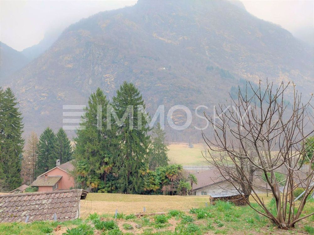 Rifugio lontano dal traffico cittadino, nuovo nella natura - Bild 4
