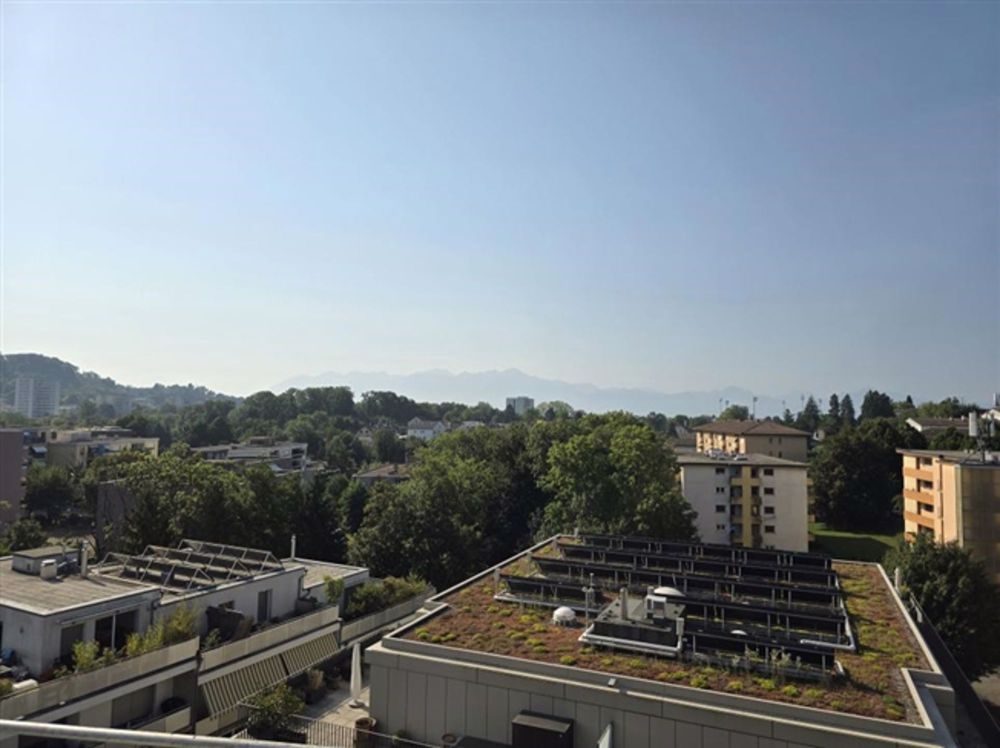 80% DER LOSE HABEN ABNEHMER GEFUNDEN - BAUSTELLE IN ARBEIT - Bild 2