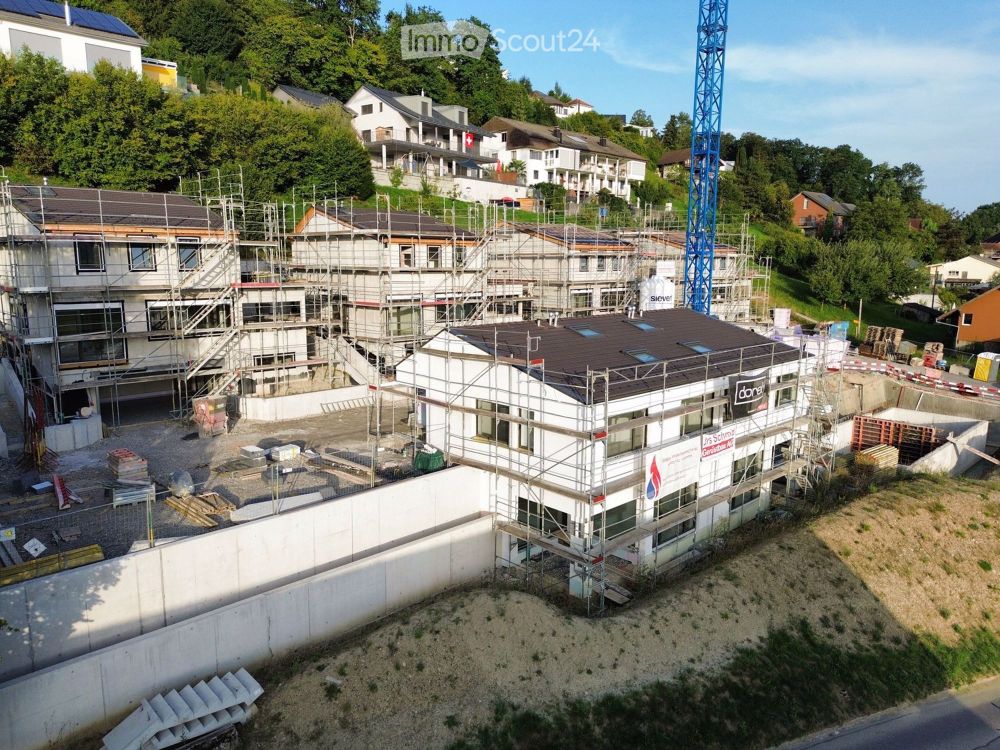 Moderne 4.5-Zimmer-Doppelhaushälfte in Egliswil - Erstbezug ab Winter 2025/ Frühjahr 2026 - Bild 3