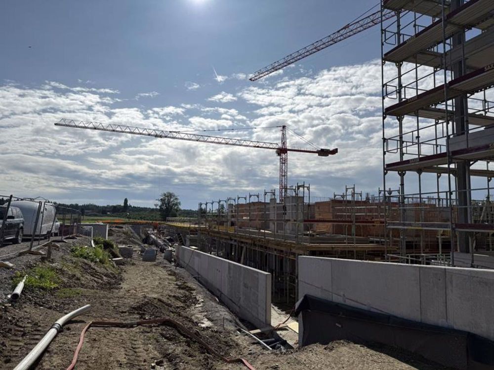 Privilegiert Wohnen angrenzend an die Landwirtschaft - Ziegelei-Quartier (D 1.1) - Bild 2