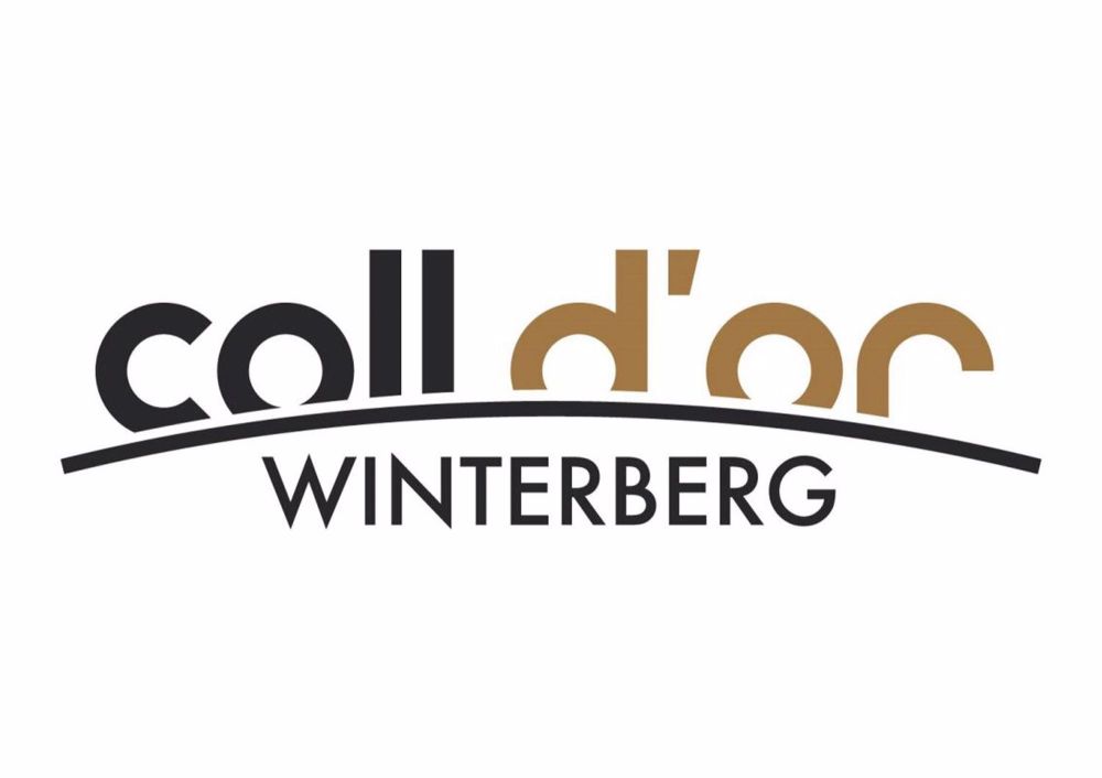 Neubauprojekt "Coll d'Or" - 5 1/2 Zimmer-Wohnung - ColldOr.jpg