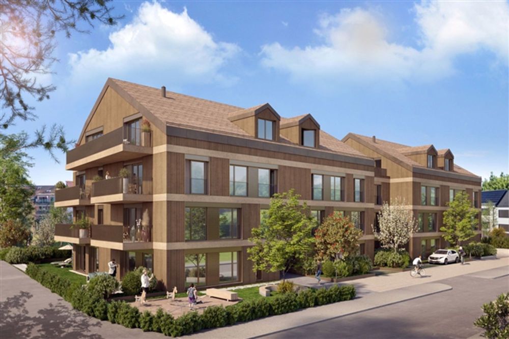 PRÄCHTIGE WOHNUNG / GEWERBEPROJEKT IM HERZEN VON ECHALLENS - Bild 5