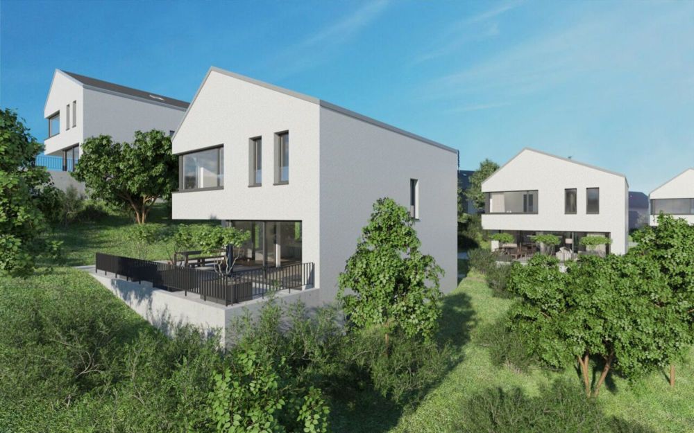 Projekt Hanfgartenweg - Bild 1