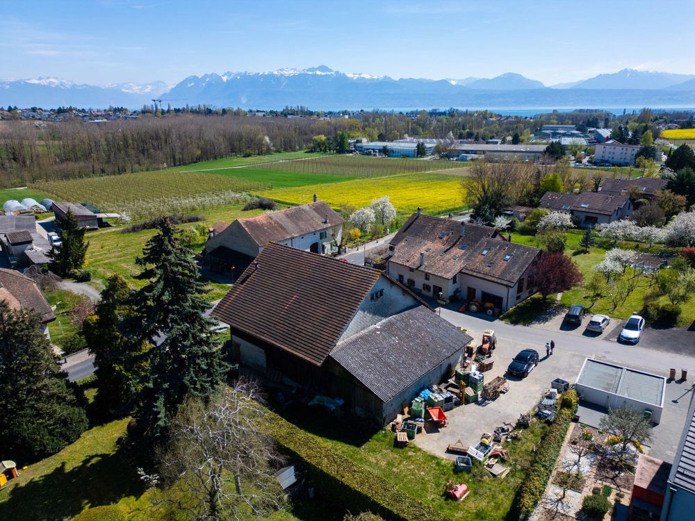 Neubau, 3.5 Zimmer mit Garten und Terrasse - Bild 3