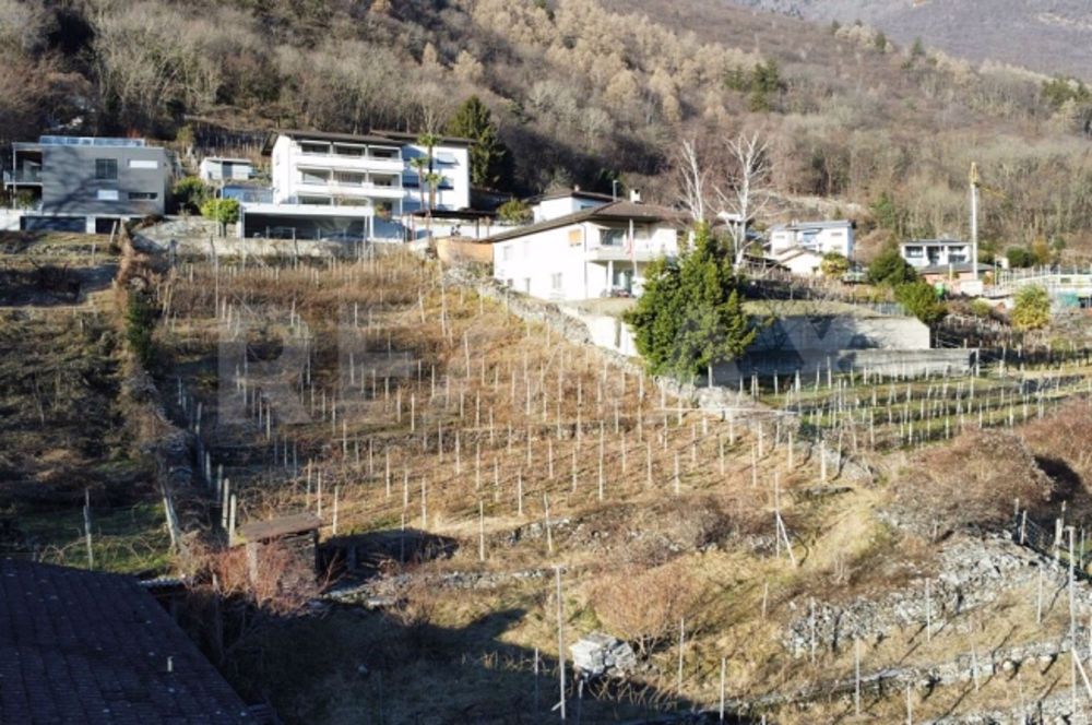 2.5 Room apartment - Bild 7