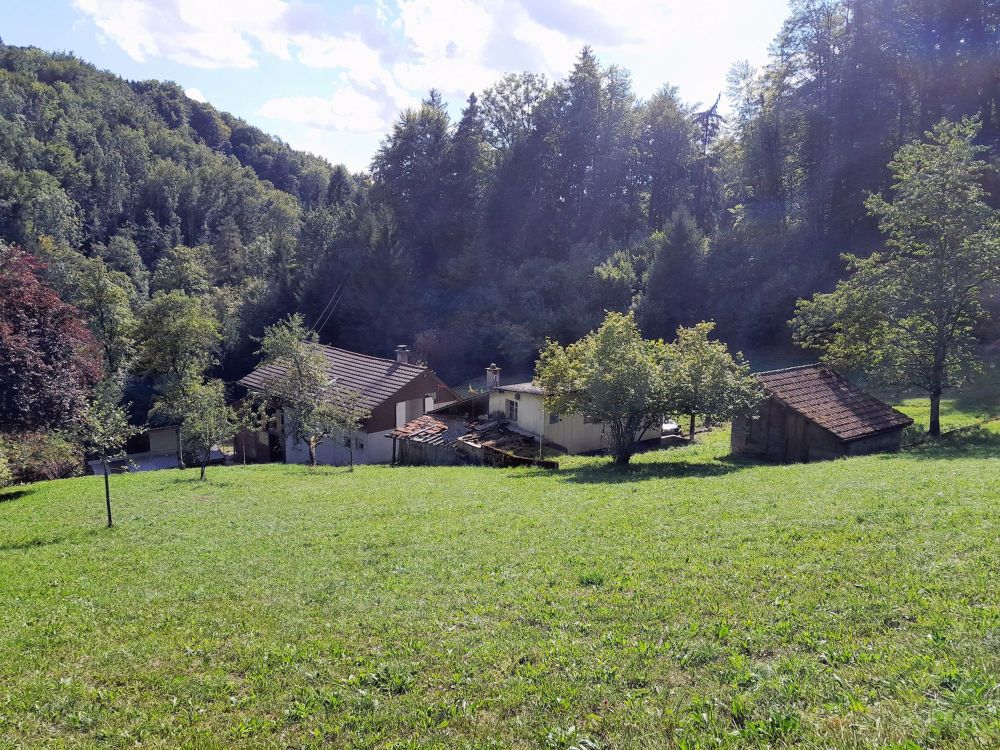 NATURJUWEL: 2'136m² Wiese, mit 1 bewilligtem Haus, 100% autark, Natur pur Waldlichtung - Bild 10