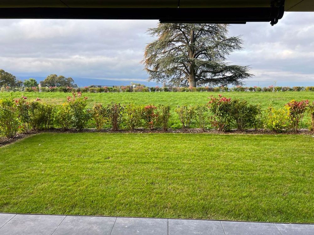 Les Terrasses de Lavaux // 3.5 pièces // Bâtiment C2 - Bild 7