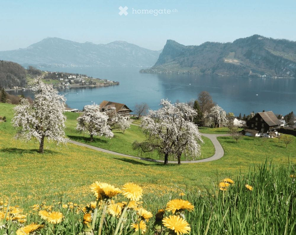 ?? Exklusive 4.5-Zimmer-Gartenwohnung mit 300 m² Privatgarten – Wohnen am Vierwaldstättersee - Bild 8