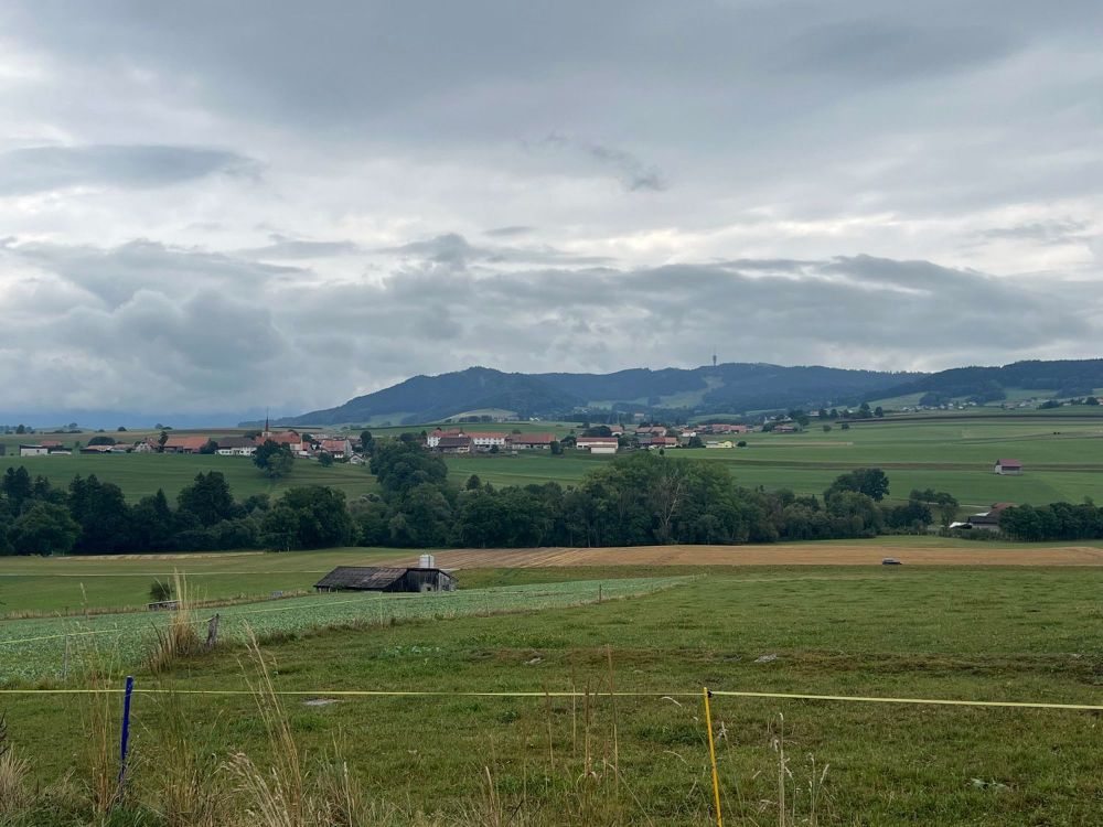 Zu verkaufen: 3 neue und moderne Villen in Villorsonnens - Bild 6