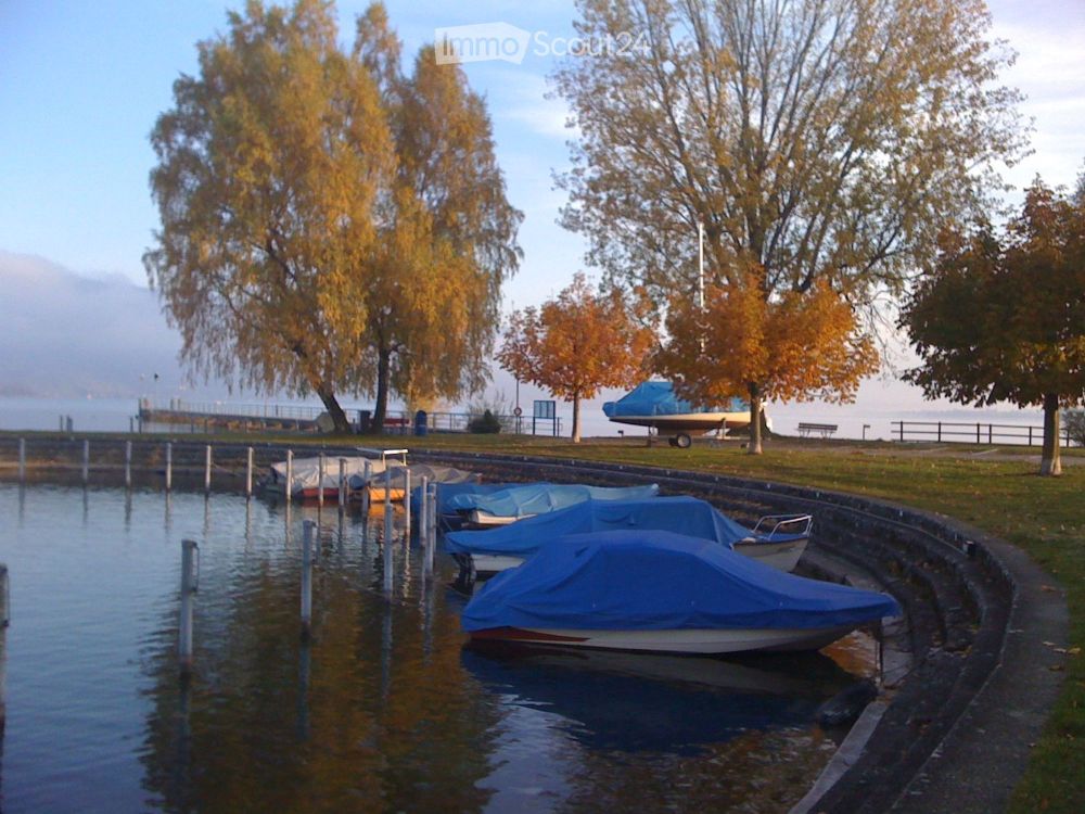 Exklusive 5.5-Zimmer-Dachwohnung in Lüscherz am Bielersee - Bild 1