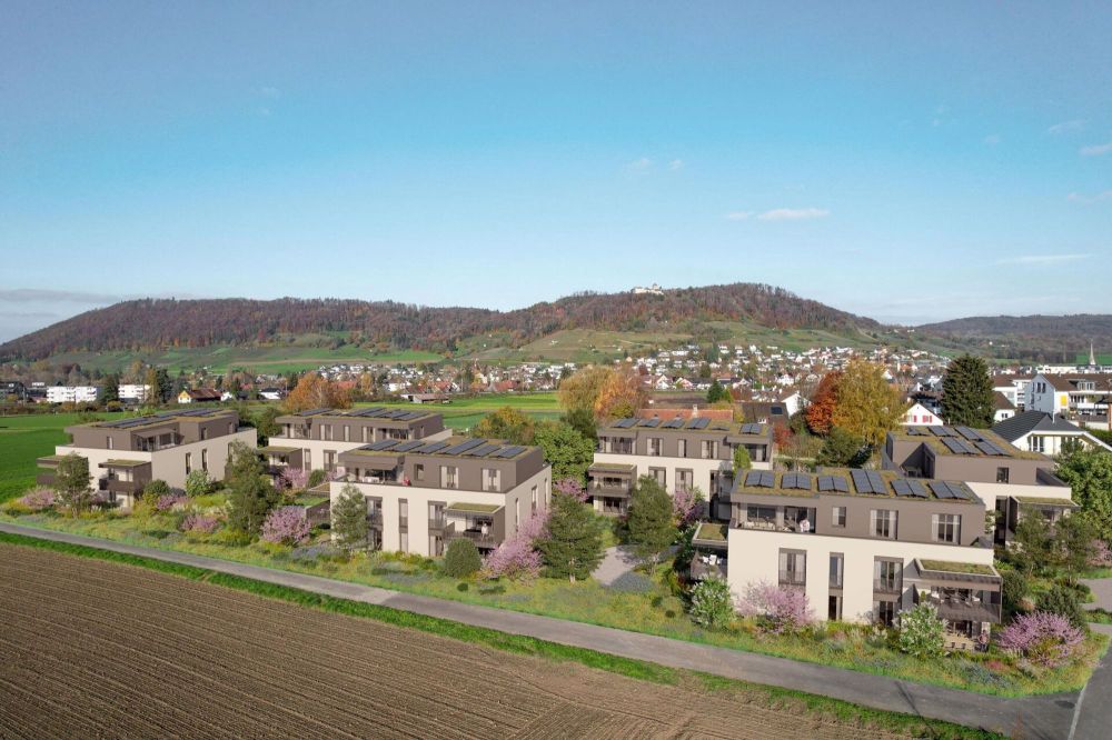 Grosszügige 4.5-Zimmer-Attika Wohnung mit Weitblick in die Natur - Bild 1