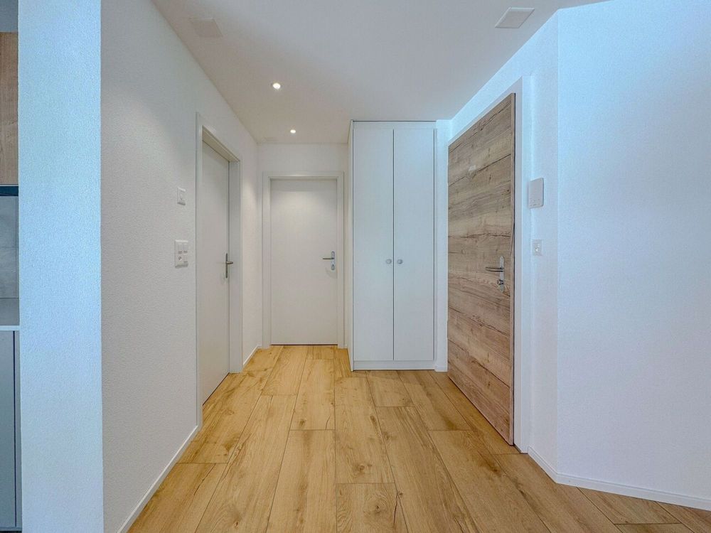 Appt PPE neu von 2,5 Zimmern mit Balkon Campagne Pernod, Lot B7 - Exemple d'agencement intérieur hall (bâtiment A - 2.5 pièces)