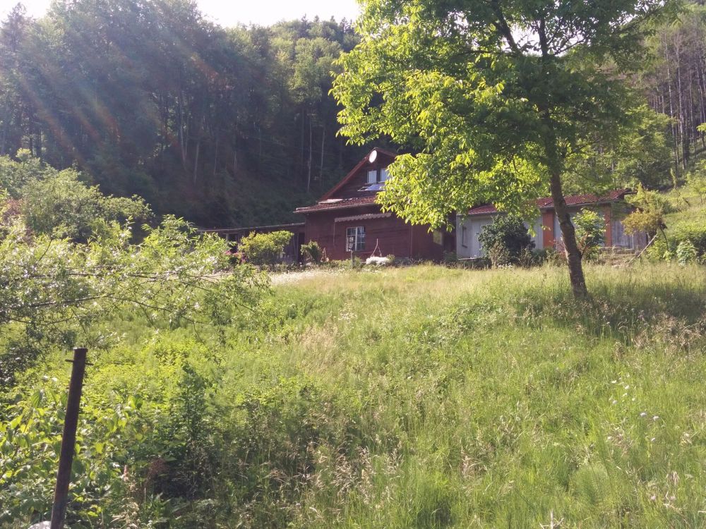 NATURJUWEL: 2'136m² Wiese, mit 1 bewilligtem Haus, 100% autark, Natur pur Waldlichtung - Bild 12