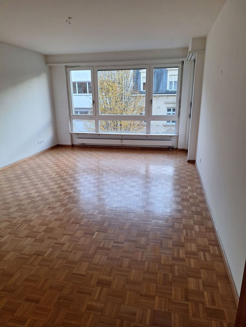 Neu renovierte 4-Zimmerwohnung mit zusätzlichem Hobbyraum - Bild 4
