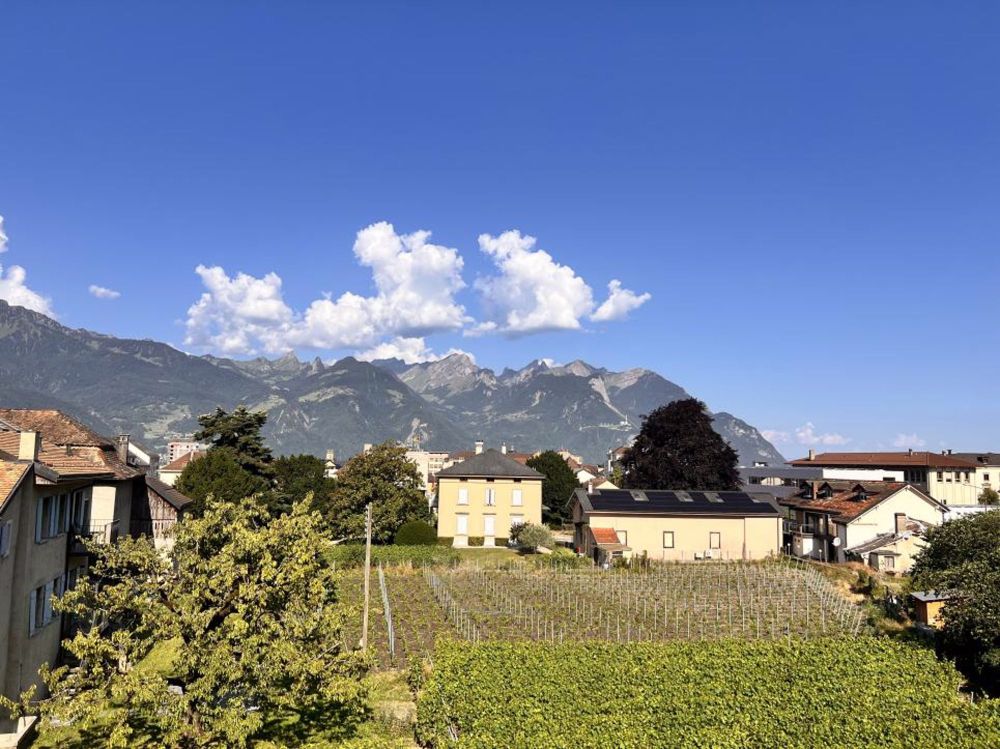 Bel appartement 3,5 pces au calme, avec vue imprenable sur les vignes et les montagnes - Bild 1