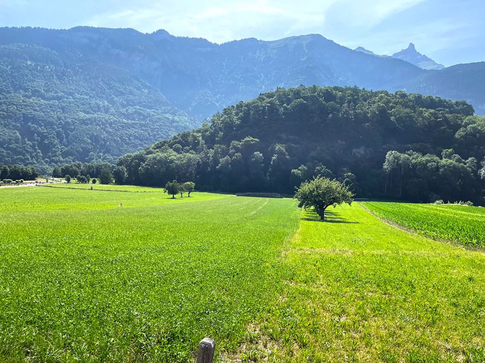 BEX - PROMOTION IMMOBILIÈRE - INVESTISSEZ DANS VOTRE AVENIR - Bild 4