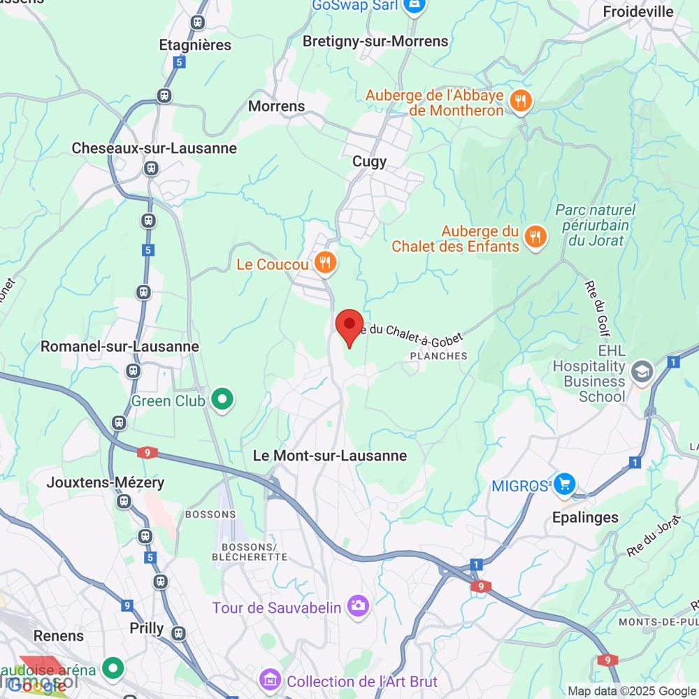 Le Mont-sur-Lausanne - Maison jumelle neuve 5.5 pièces - Immosol | Villa Jumelle Le Mont | Plan de situation
