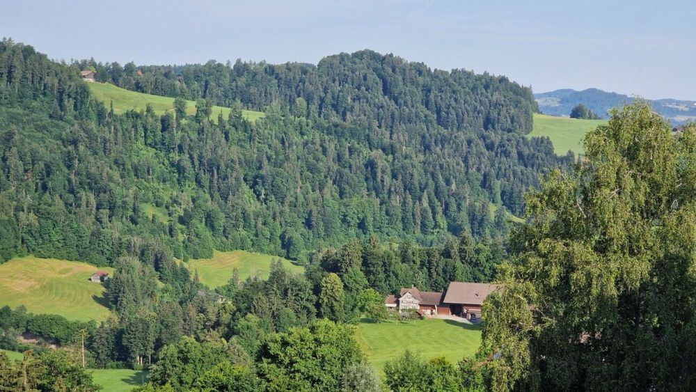 Weitblick Sonnmatt: Wg. A 4.1 - Bild 1