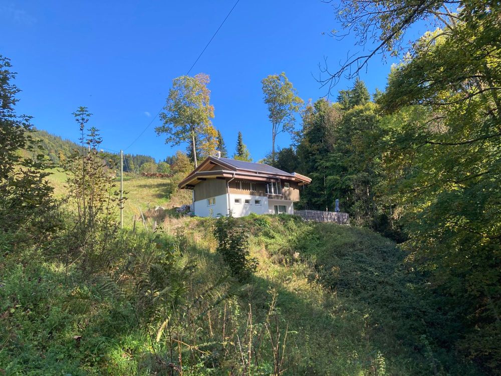 Alleinlage EFH mit grossem Umschwung - NEU - Bild 1