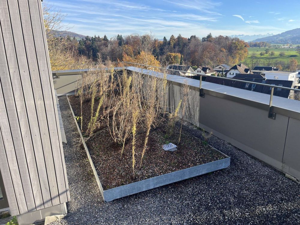 Attikawohnung mit grosser Terrasse inkl. zwei Tiefgaragenparkplätzen an ruhiger Lage. - Bild 12