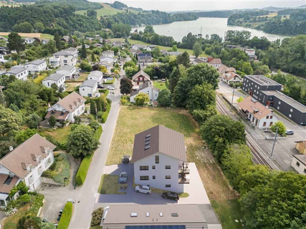 Schöne 2,5 Stück - LOS 742-2 - Bild 7