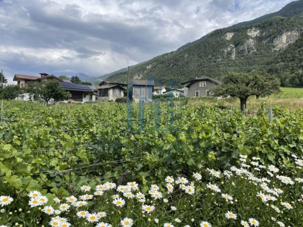 Villa contemporaine à Grône - Bild 2