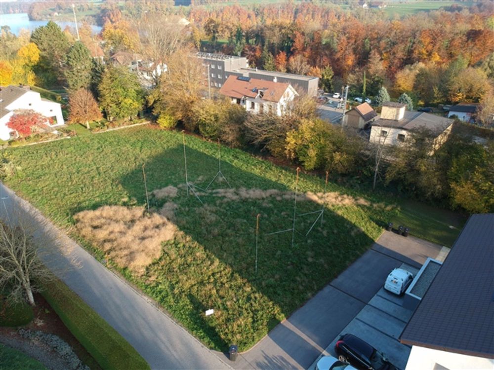 Schöne 3,5 Stück - LOS 742-1 - Bild 8