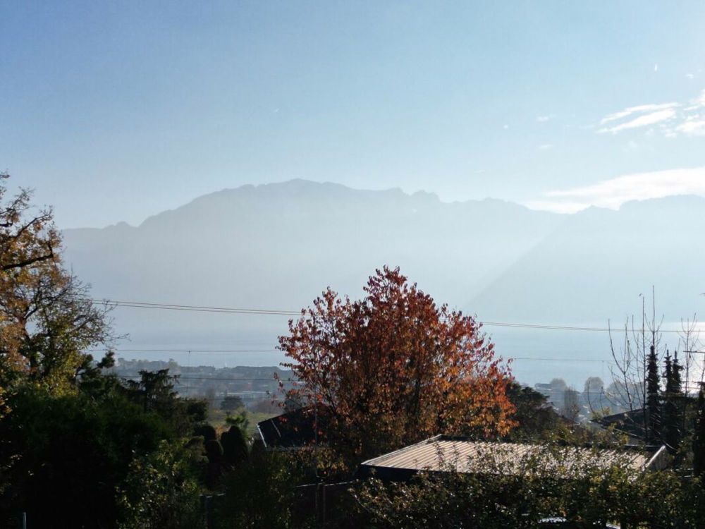 Einzelvilla 5.5 Zimmer in St-Légier-La Chiésaz - Bild 3