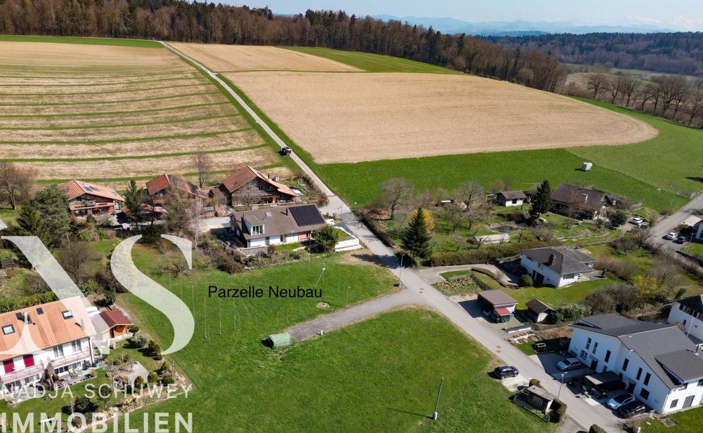 Offen und hell mit Terrasse zum Geniessen - Bild 3