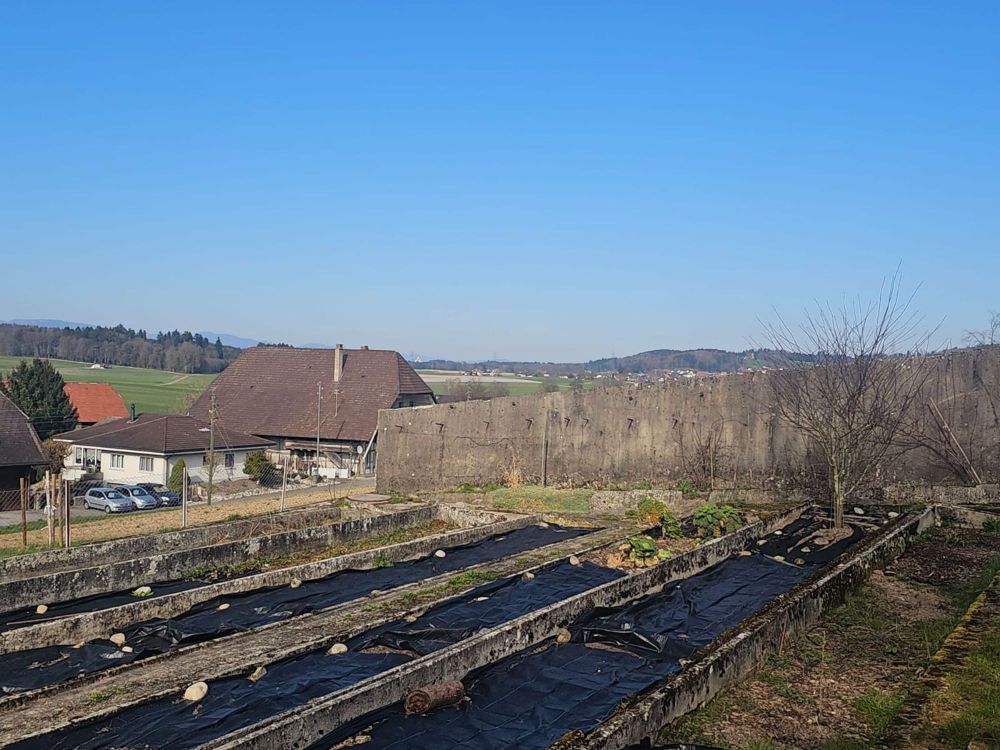 Wohntraum an ruhiger Lage | vier freistehende EFH - Bild 6