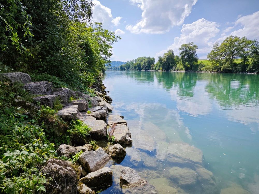 Ihr Traumhaus - 300m von der Aare entfernt - Bild 11