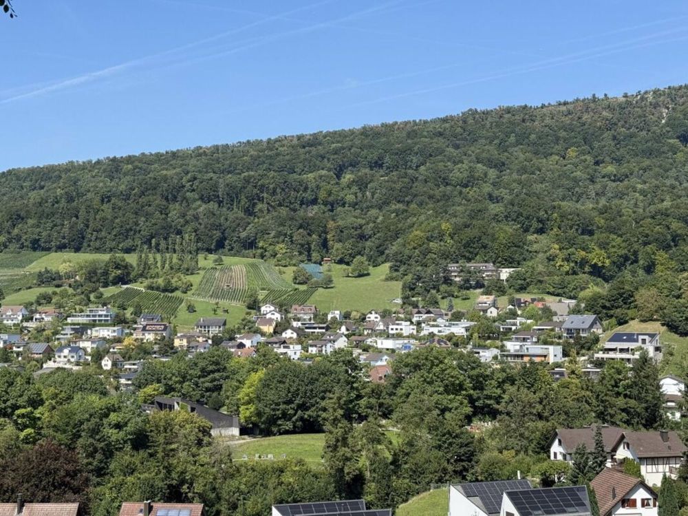 Floris - Neubauprojekt Aeschstrasse Wettingen I Wohnen im Grünen - Bild 1