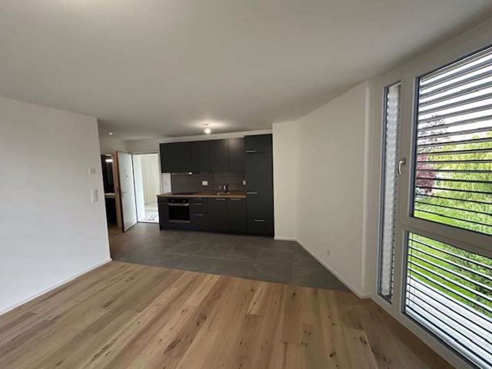 Wohnung 2.5 Zimmer neu, Balkon und innenliegender Parkplatz - séjour et cuisine