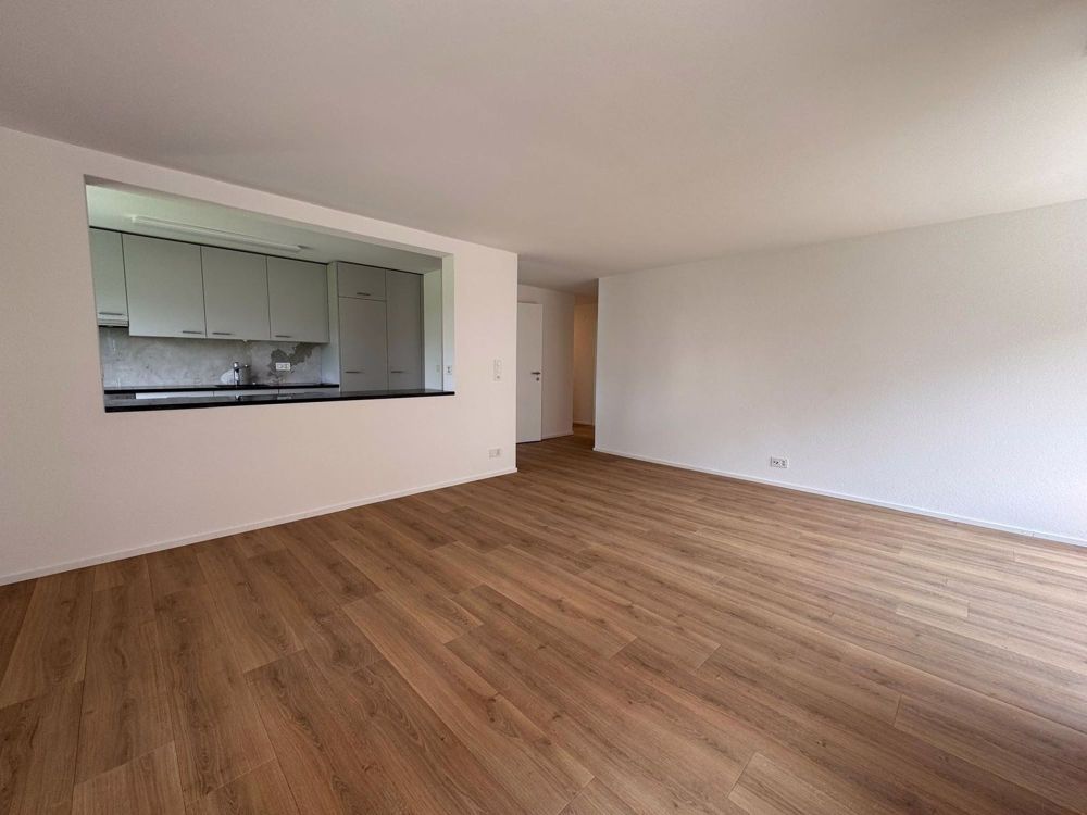 Erstvermietung nach Sanierung / 4 -Zimmerwohnung im ruhigen Quartier - Wohnzimmer