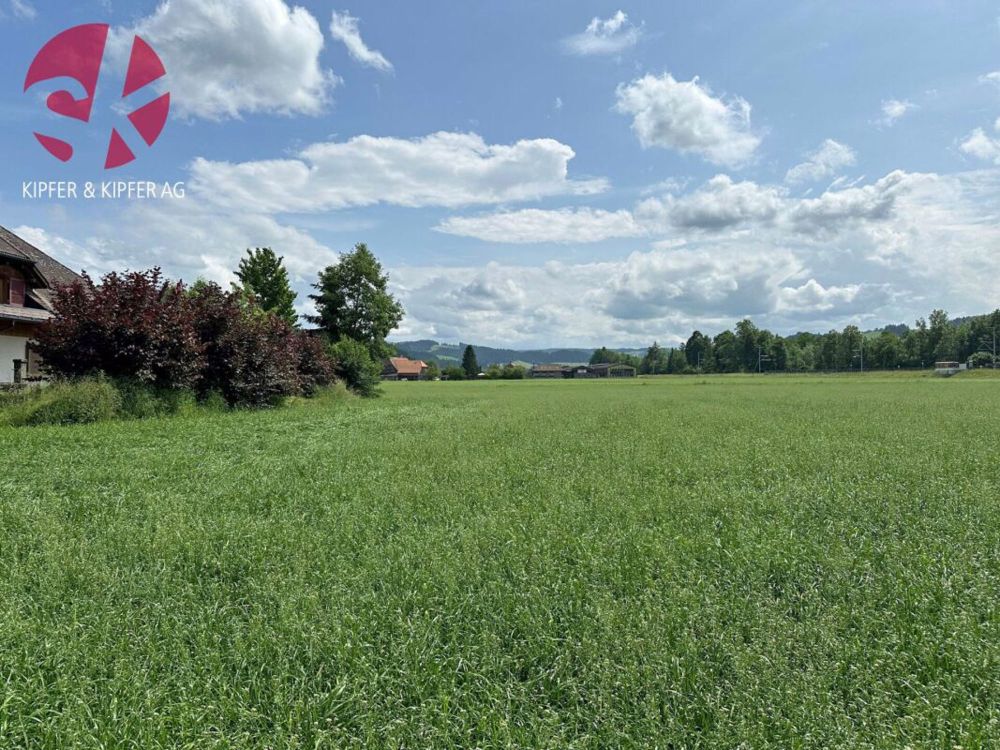 NEUBAU Zollbrück - Leben in der Natur, neben der Emme und trotzdem zentrumsnah - Bild 1